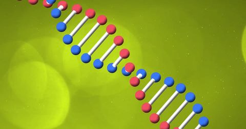 DNA Strand Model on Vibrant Green Background Highlighting Science Concepts