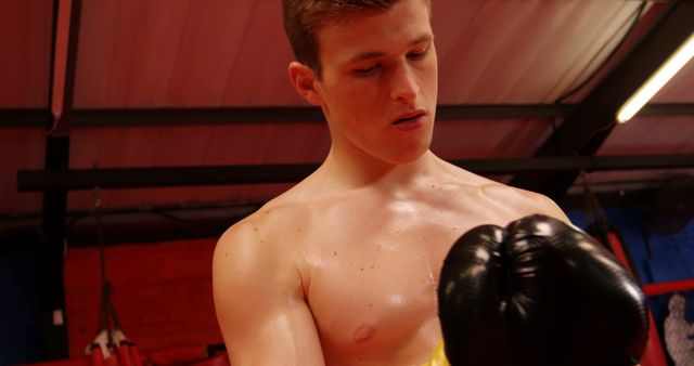 Young male boxer preparing for training session in gym, focusing on putting on boxing gloves. Ideal for use in sports and fitness articles, advertisements for gyms or training programs, motivational posters, or promotional materials for athletic wear brands.