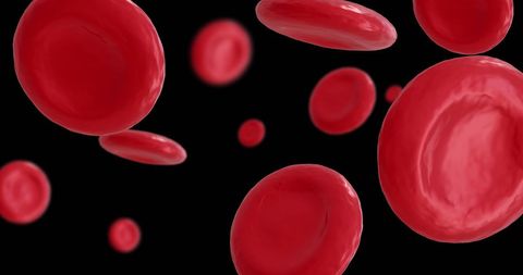 Close-up of red blood cells floating