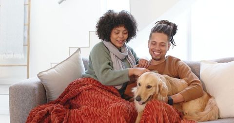 Couple relaxing on sofa petting golden retriever under cozy blanket in bright living room