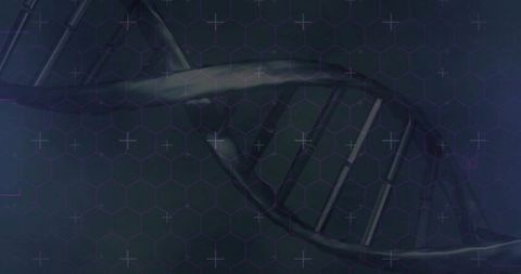 Rotating DNA helix with hexagonal grid overlay for futuristic genetic visualization