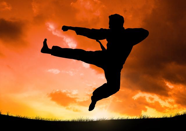 Digital composition of karate player silhouette with jump kick pose against sky in background
