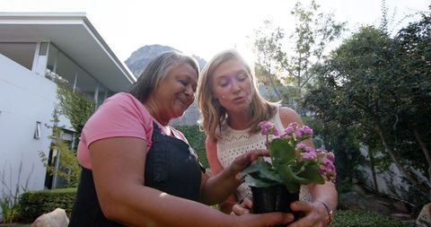 Senior Women Enjoying Gardening Together by Discovering Pink Flowers