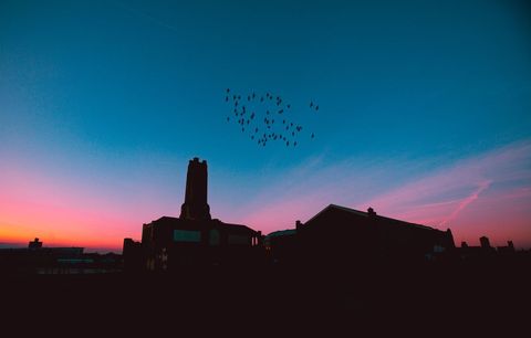 Silhouette Cityscape with Birds at Dawn