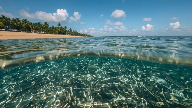 Clear Waters and Sunlit Seabed at Tranquil Tropical Beachfront