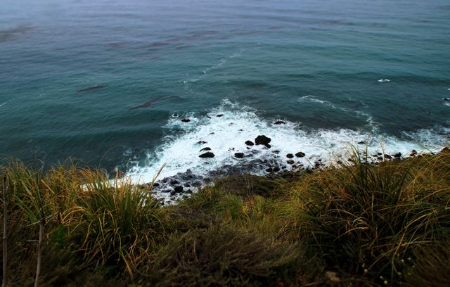 This photo captures waves crashing against a rocky coastline viewed from a cliff. Dense coastal vegetation lines the foreground, while the foamy waves create contrasting textures in the midground, and expansive ocean stretches out into the horizon. Ideal for use in travel brochures, nature websites, scenic postcards, or as inspirational desktop wallpapers highlighting natural beauty and coastal landscapes.