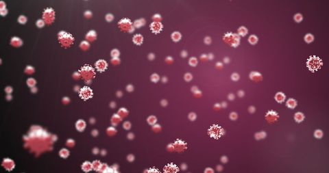 Floating Coronavirus Cells on Purple Background