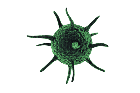 digital illustration of green virus on transparent background - Download Free Stock Videos Pikwizard.com