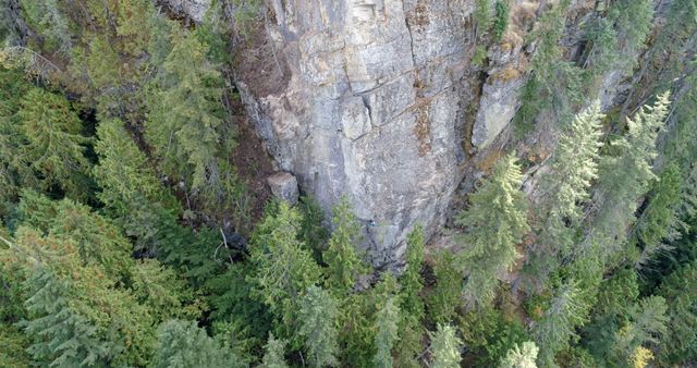 Aerial perspective captures dense evergreen forest surrounding rugged rocky cliffs. Useful for promoting outdoor adventures, nature conservation, or showing natural landscapes in environmental presentations.
