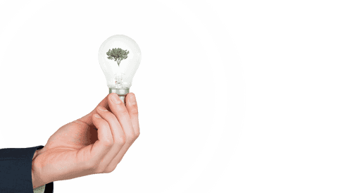 transparent background: hand holding light bulb with tree inside - Download Free Stock Videos Pikwizard.com