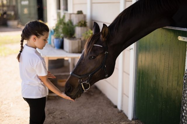 Little Girl Feeding Horse at Stable - Download Free Stock Photos Pikwizard.com