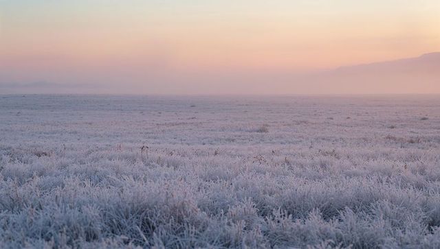 Frosted Meadow at Sunrise with Hoarfrost Crystals and Misty Pasture Horizon