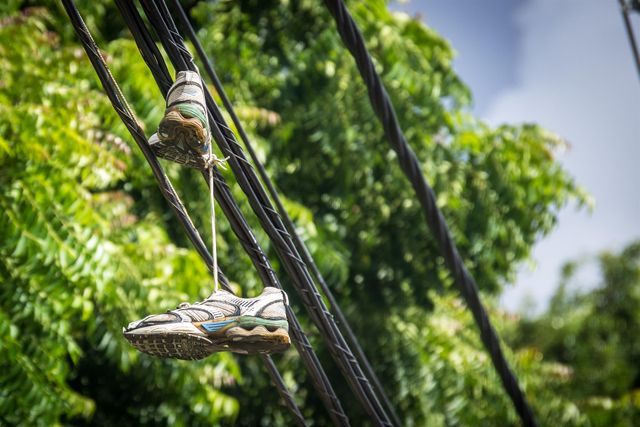 Sports shoes hanging by their laces on power lines with a backdrop of green trees and blue sky. Represent problem areas in urban neighborhoods, signal local events, or symbolize adolescence. Useful for articles about urban lifestyles, city scenes, suspense novels, or symbolic representations in media.