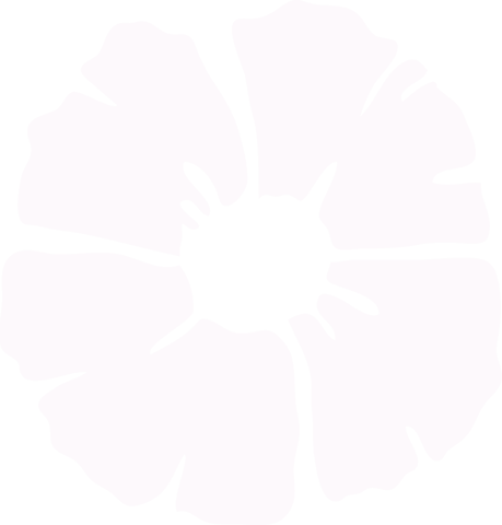 Abstract white design with radiating petals on transparent background