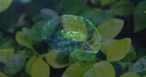 Hovering holographic brain overlaying plant foliage with digital grid and neural network