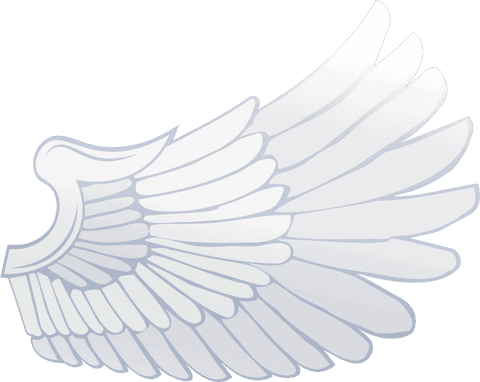 transparent single feathered wing with abstract design - Download Free Stock Videos Pikwizard.com