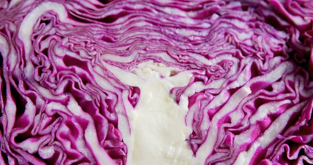 A close-up of sliced red cabbage displays its complex patterns and vivid colors. - Download Free Stock Photos Pikwizard.com