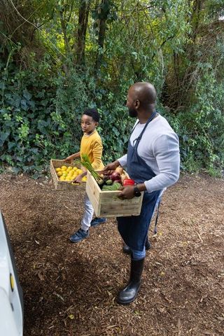 African american father and son carrying fresh farm produce in wooden crates through woodland path