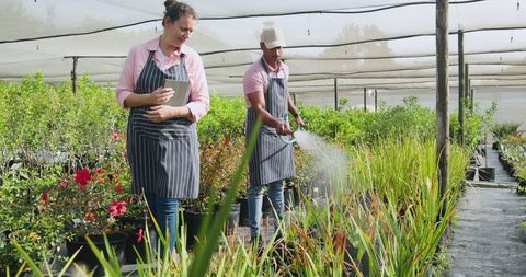 Dedicated coworkers caring for plants in shade house