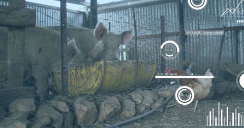 Digital Financial Data Interface Over Farming Scene