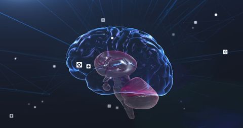 Futuristic Digital Brain with Binary Code Display - Download Free Stock Images Pikwizard.com