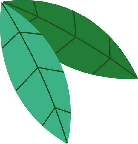 Two Stylized Green Leaves on Transparent Background