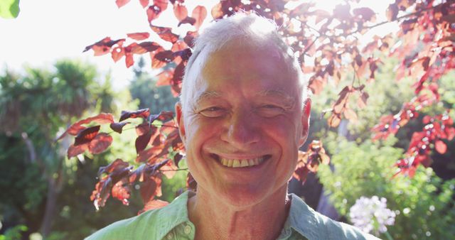 Portrait of a Happy Senior Man Smiling Outdoors in Garden - Download Free Stock Images Pikwizard.com