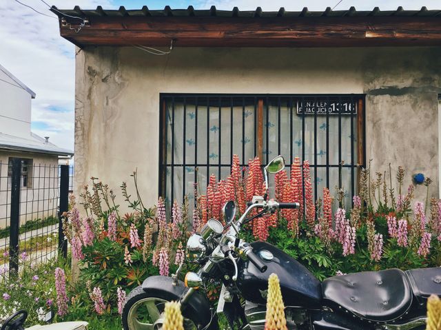 A vintage motorbike parked by an old rustic house with a blooming wildflower garden. Ideal for themes related to countryside living, vintage vehicles, outdoor aesthetics, rustic charm, and springtime gardening. Suitable for articles, blog posts, printing materials, or background images depicting rural lifestyle and adjacent automotive interest.