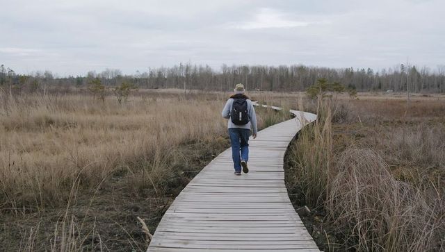 Solo hiker walking along curved boardwalk through marshland on overcast day