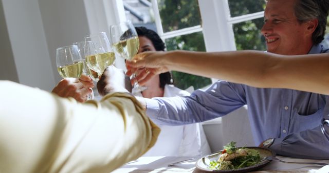 Friends Enjoying Wine Toast During Meal - Download Free Stock Images Pikwizard.com