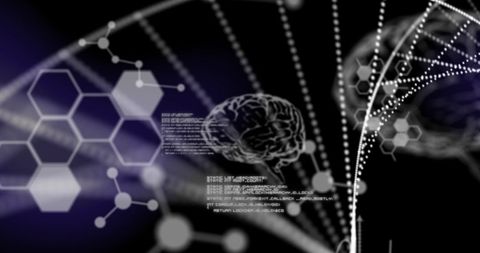 cutting-edge science conceptual background with 3d dna and brain - Download Free Stock Images Pikwizard.com