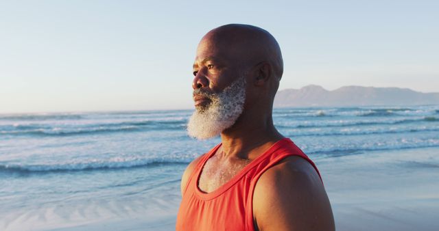 Elderly Man with Gray Beard Looking at Sea Horizon - Download Free Stock Images Pikwizard.com