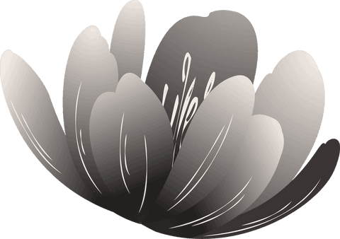 Stylized gradient flower on transparent background with copy space