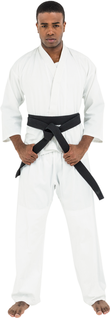 Karate Fighter Tightening Black Belt on Transparent Background - Download Free Stock Videos Pikwizard.com