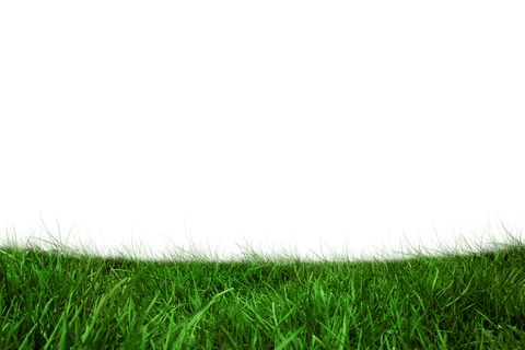 Lush Green Grass Isolated on Transparent Setup for Nature Projects - Download Free Stock Videos Pikwizard.com