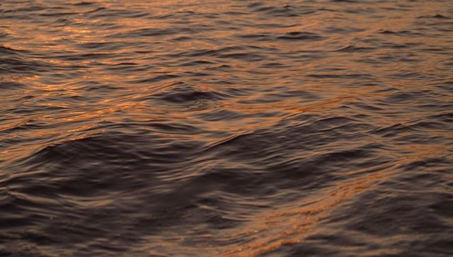 Rippling ocean surface reflecting golden sunrise light, calm waves and warm water texture