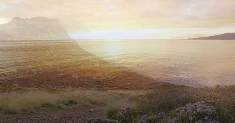 Serene Coastal Sunset with Reflections and Wildflowers