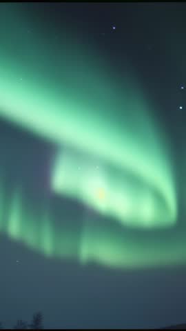 Vertical video capturing dancing aurora borealis shifting and pulsing above dark horizon