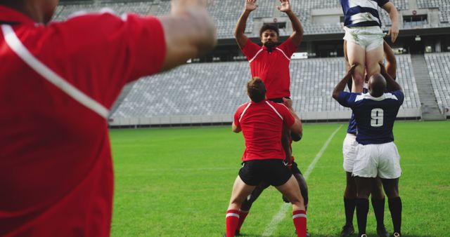 Rugby players engaged in a line-out lift, demonstrating teamwork and athleticism during a game. Clear view of grassy field and spectators in the background, showcasing the intensity of the match. Perfect for illustrating sports articles, teamwork concepts, and physical fitness discussions.