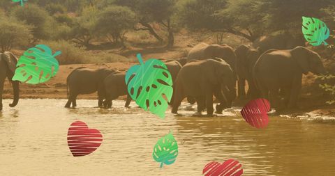 Elephants at Waterhole in African Wildlife Reserve with Leaf Overlays - Download Free Stock Images Pikwizard.com