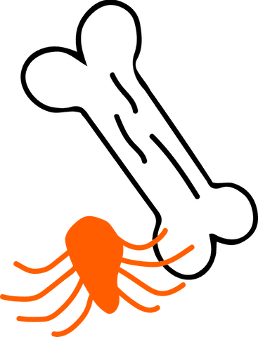 whimsical stylized bone and spider graphic on transparent background - Download Free Stock Videos Pikwizard.com