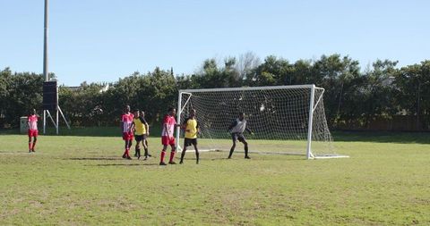 Soccer players in action during match on grass field