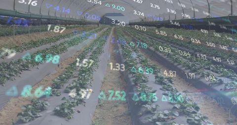 Indoor Farming with Tech Overlay Showcasing Agribusiness Innovations