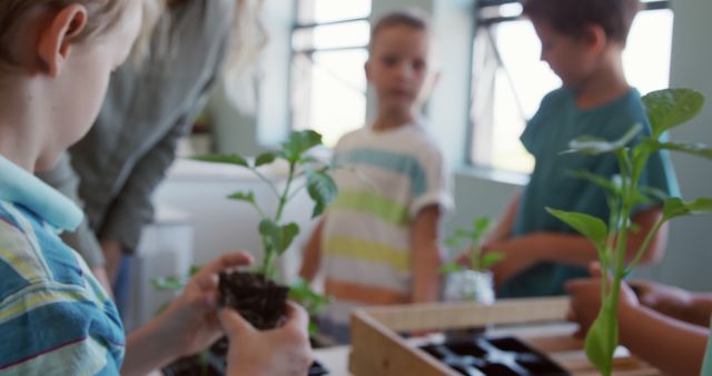 Children Learning Plant Care in Classroom Setting - Download Free Stock Images Pikwizard.com