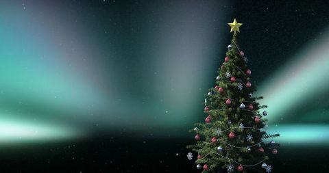 Christmas Tree Under Aurora Borealis Sky
