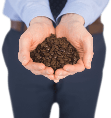transparent hands holding coffee beans business concept - Download Free Stock Videos Pikwizard.com