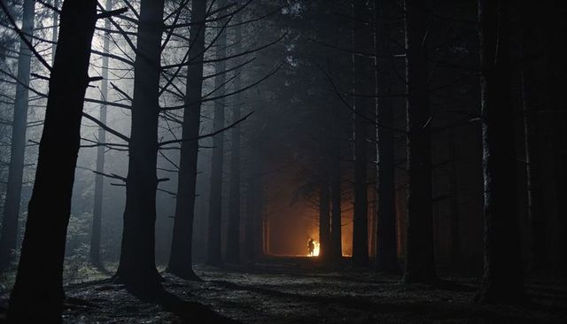 Standing lone figure holding lantern in misty pine forest corridor by glowing campfire