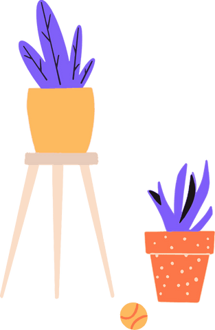 minimalist purple potted plants on transparent background - Download Free Stock Videos Pikwizard.com