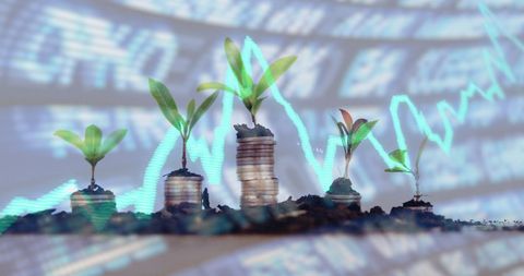 Plants Growing on Stacked Coins Over Digital Stock Data