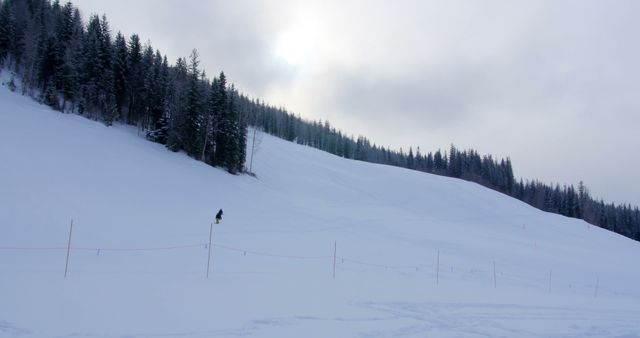 Solitary figure skiing down snowy slope in overcast weather - Download Free Stock Images Pikwizard.com